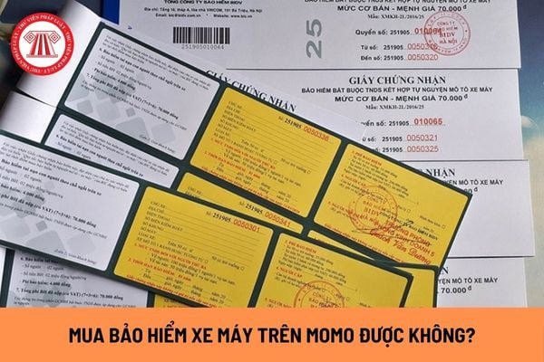 Hình ảnh minh họa việc mua bảo hiểm xe máy điện tử qua ứng dụng di động
