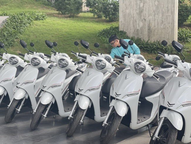 Hình ảnh minh họa xe máy điện di chuyển trên đường phố Quy Nhơn