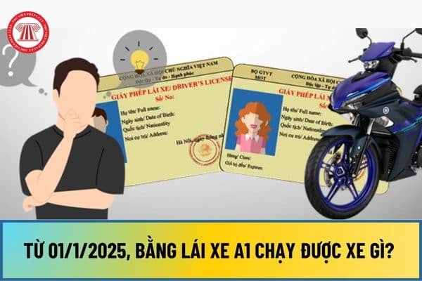 Hình ảnh minh họa xe máy điện và xe xăng hạng A1