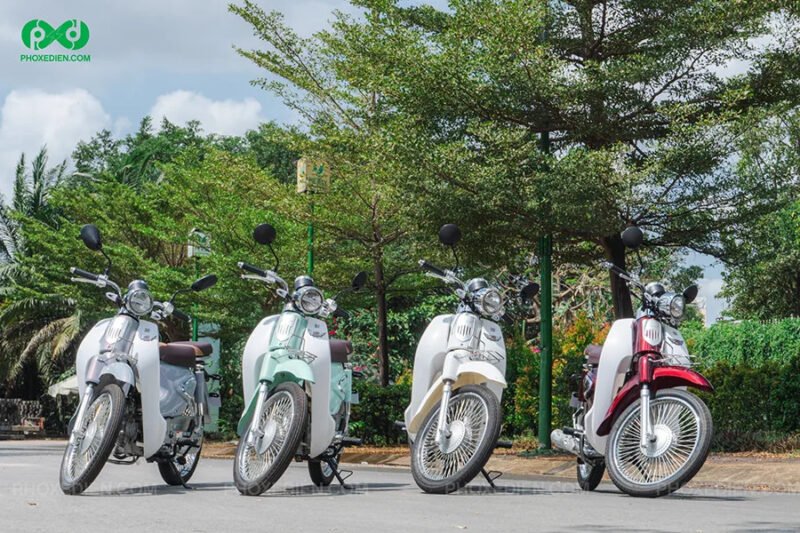 Hình ảnh mô tả các mẫu xe 50cc khác nhau, thể hiện sự đa dạng về kiểu dáng cho mục đích sử dụng