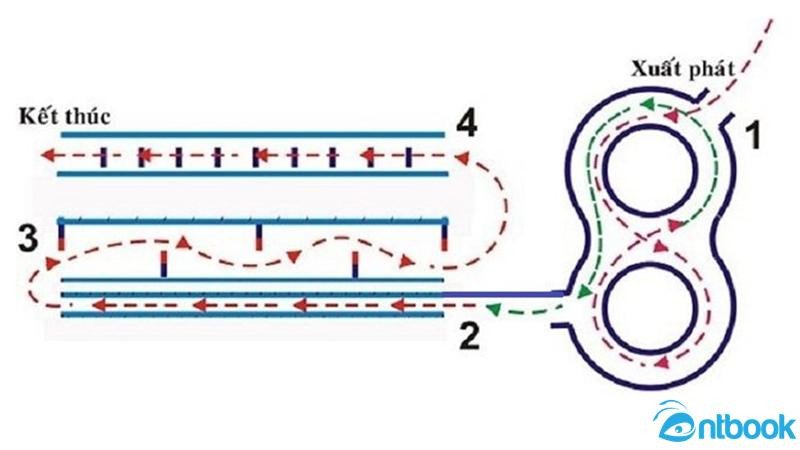 Hình ảnh mô tả tư thế chuẩn bị xe máy trước khi xuất phát bài thi
