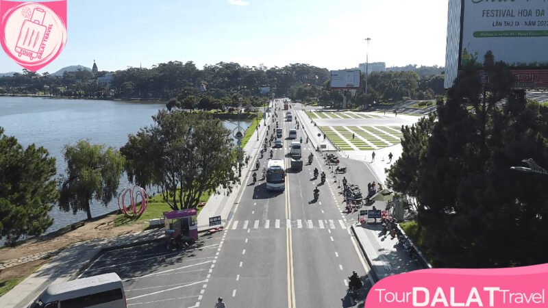 Hình ảnh một chiếc xe 4 chỗ đậu bên cạnh một cánh đồng hoa tại Đà Lạt