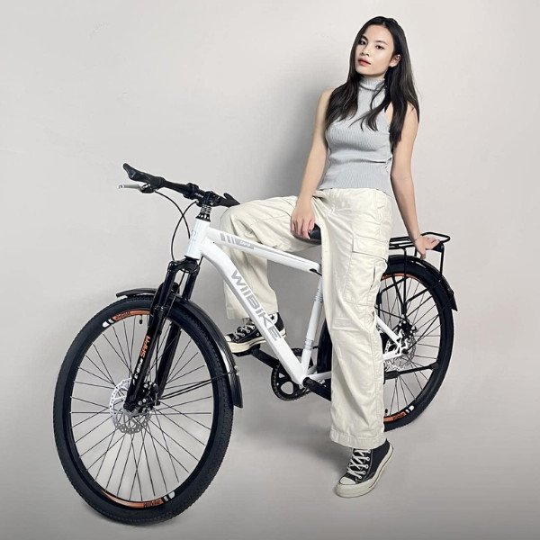 Hình ảnh một chiếc xe đạp điện trợ lực được bảo dưỡng tốt, sẵn sàng lăn bánh