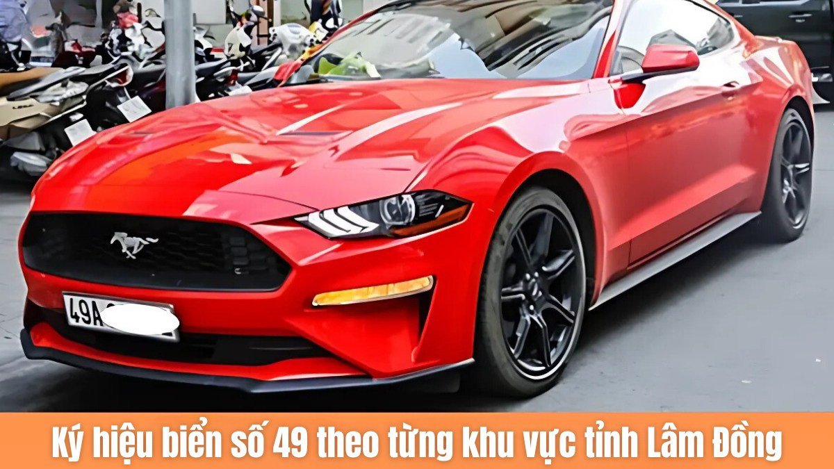 Hình ảnh một chiếc xe ô tô đang lưu thông trên một cung đường đèo núi tại Lâm Đồng, thể hiện sự đa dạng địa hình của khu vực mang biển số 49