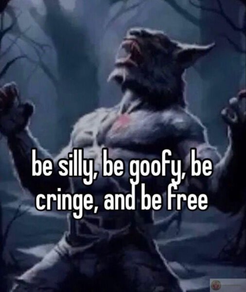 Hình ảnh một con sói đơn độc với biểu cảm bí ẩn được sử dụng rộng rãi trong các meme vui nhộn