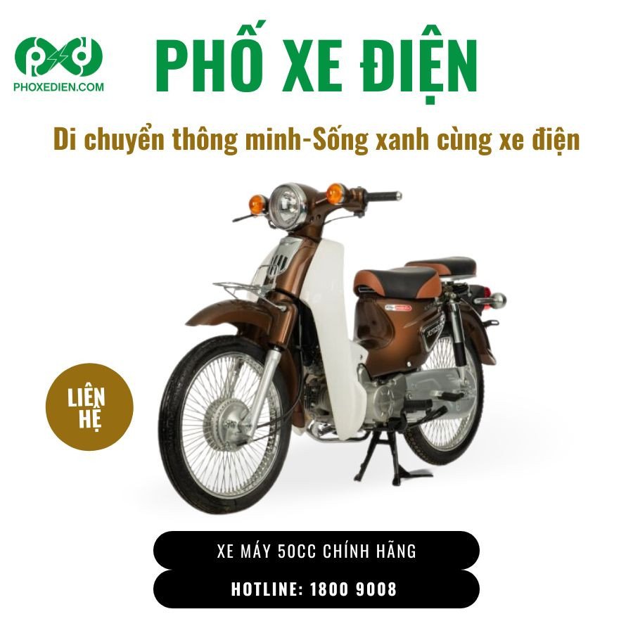 Hình ảnh showroom trưng bày nhiều mẫu xe 50cc khác nhau, thể hiện sự phong phú về lựa chọn