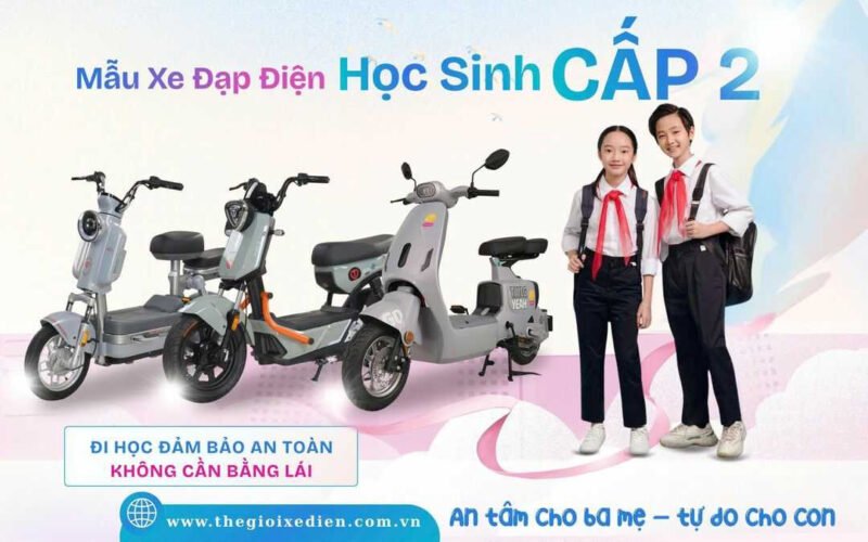 Hình ảnh tổng thể của xe đạp điện Dylexe VC K1 với đầy đủ giấy tờ
