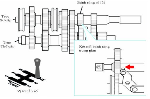 Hoạt động của bánh răng trung gian khi vào số lùi
