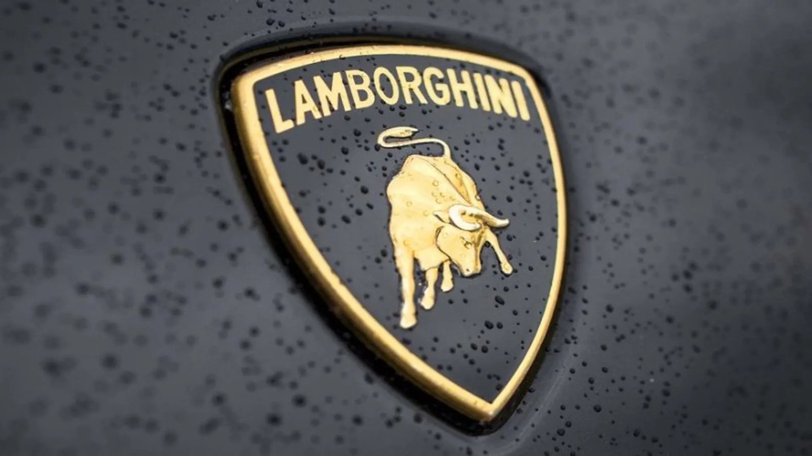 Huy hiệu bò tót của siêu xe Lamborghini