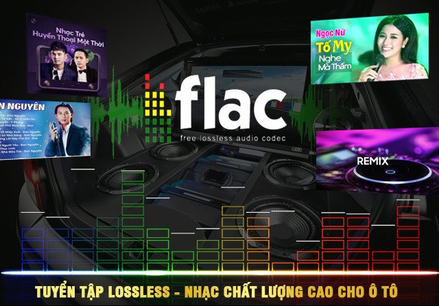 Kho nhạc đa dạng cho xe ô tô