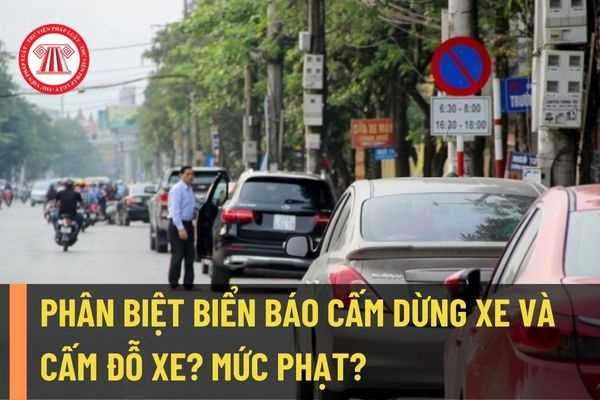 Khu vực cấm dừng và đỗ xe trên đường bộ