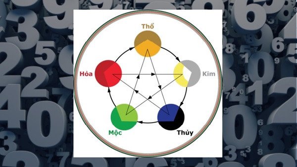 Kiểm tra sự tương hợp giữa các con số trên biển số và mệnh của chủ xe