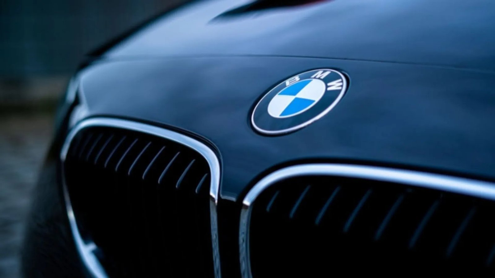 Logo hãng xe BMW với bốn phần màu xanh trắng xen kẽ