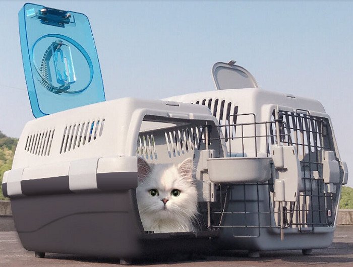 Lồng vận chuyển chó mèo được cố định trên xe máy