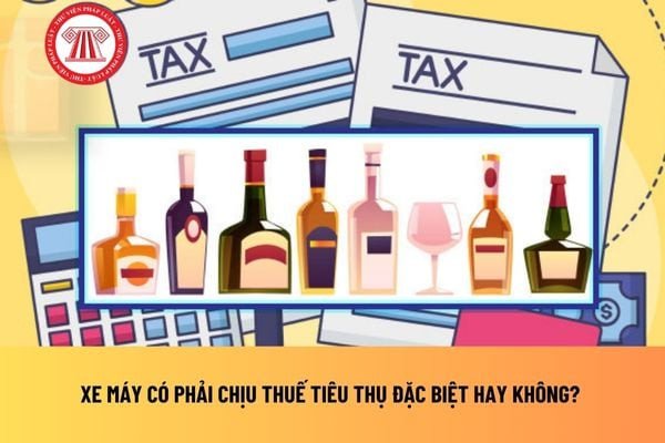 Minh họa các loại xe máy trên đường phố Việt Nam