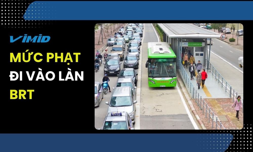 Minh họa cách tránh lỗi đi vào làn BRT