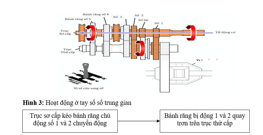 Minh họa trạng thái nghỉ hoặc số mo trong hộp số