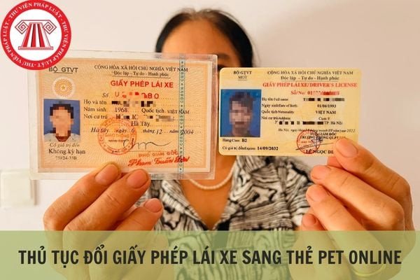 Minh họa việc tra cứu thông tin bằng lái xe trên ứng dụng điện tử
