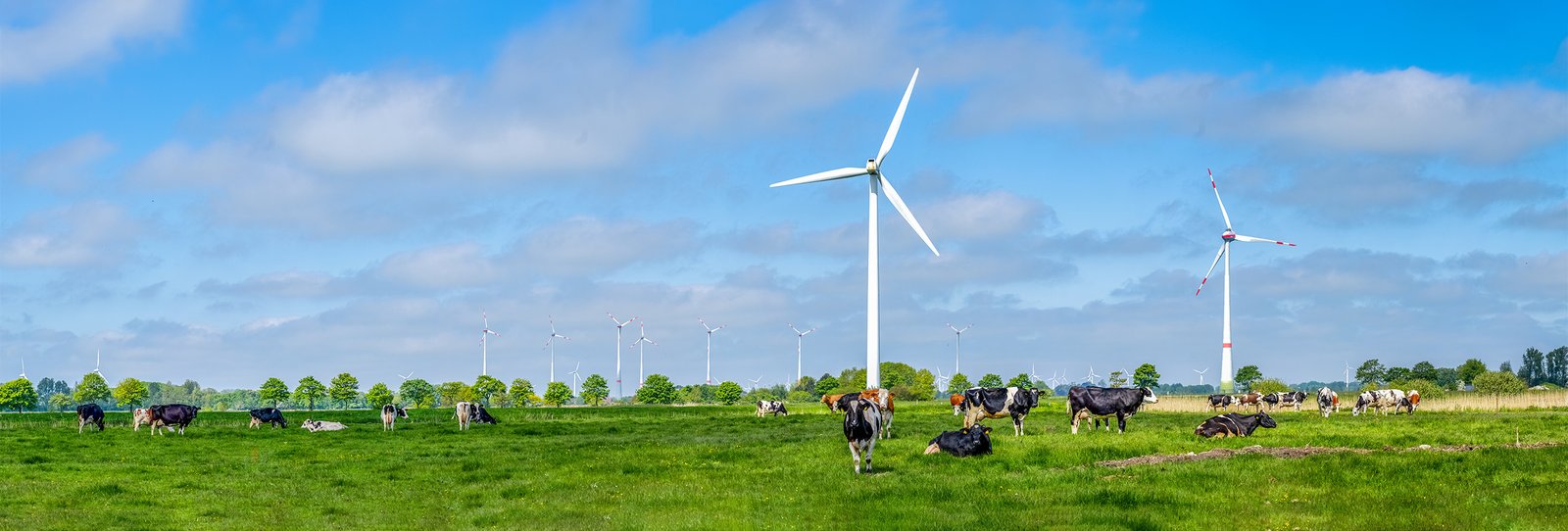 Một chiếc xe điện tự lái đang di chuyển trong thành phố