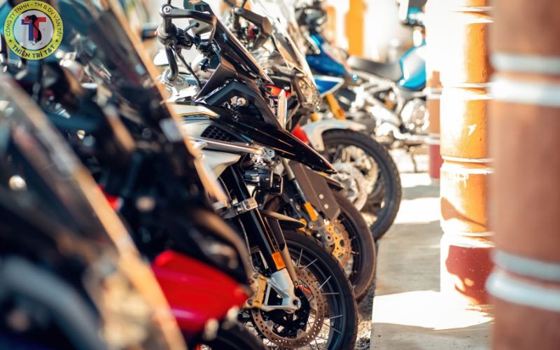 Mua xe thanh lý hải quan có nên mua