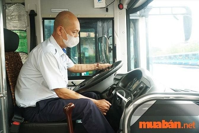 Tuyển Tài Xế Lớn Tuổi TPHCM Mới Nhất và Cơ Hội Việc Làm Hấp Dẫn Mức lương tài xế hấp dẫn thu hút nhiều người tìm việc