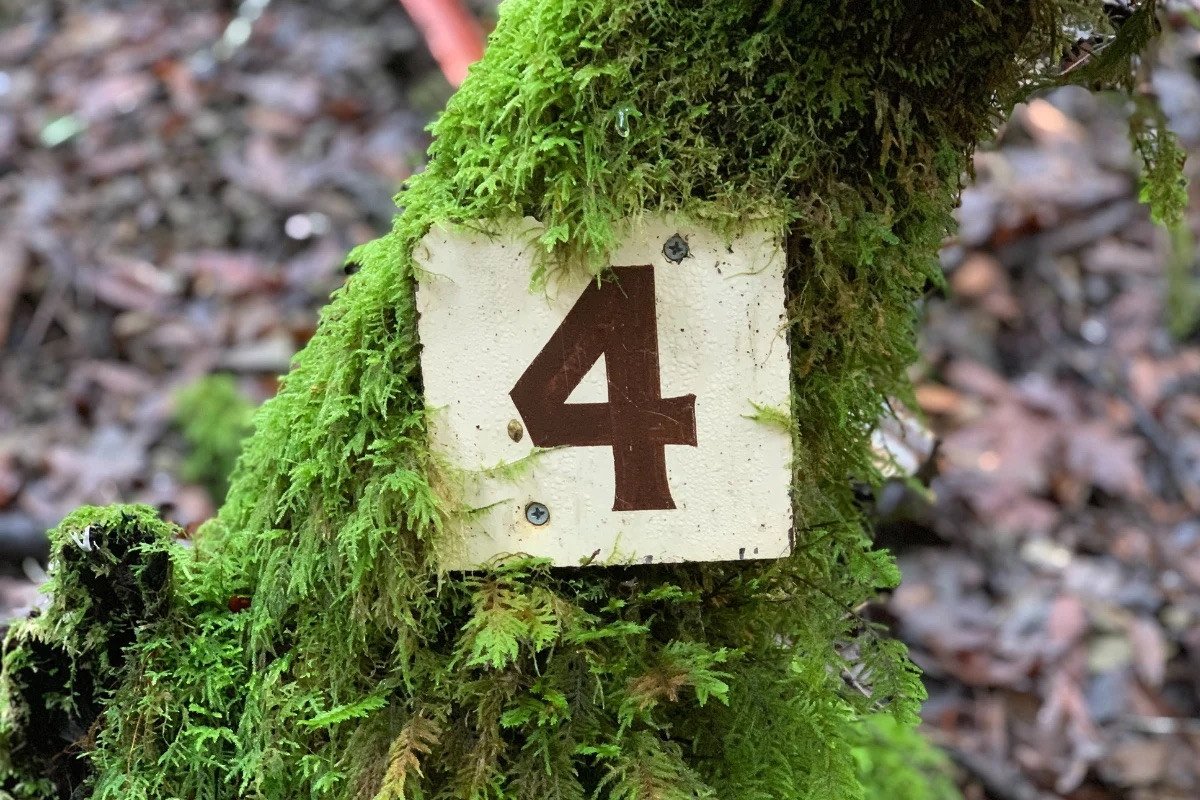 Người có số chủ đạo 4 thường có khả năng tổ chức công việc tốt