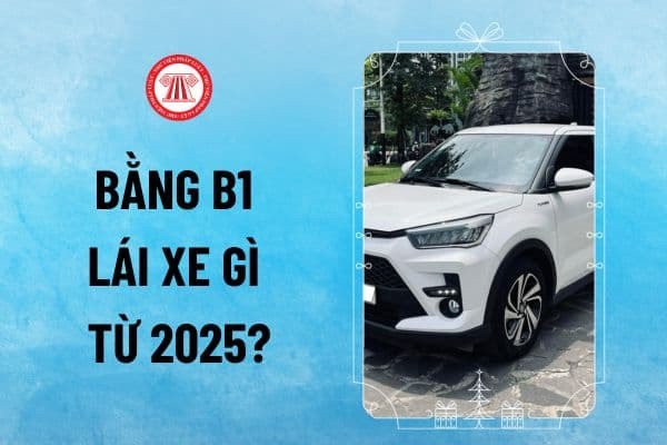 Người lái xe chuẩn bị điều khiển phương tiện sau khi cập nhật quy định bằng lái xe mới