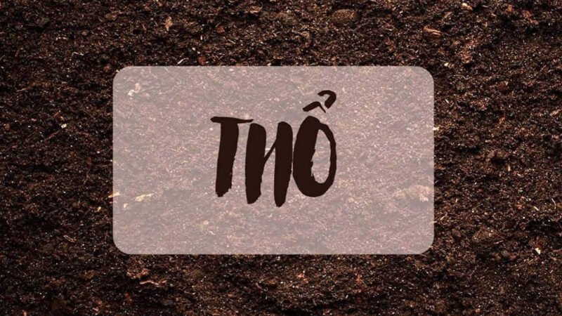 Người sinh năm 1977 tuổi Đinh Tỵ mệnh Sa Trung Thổ