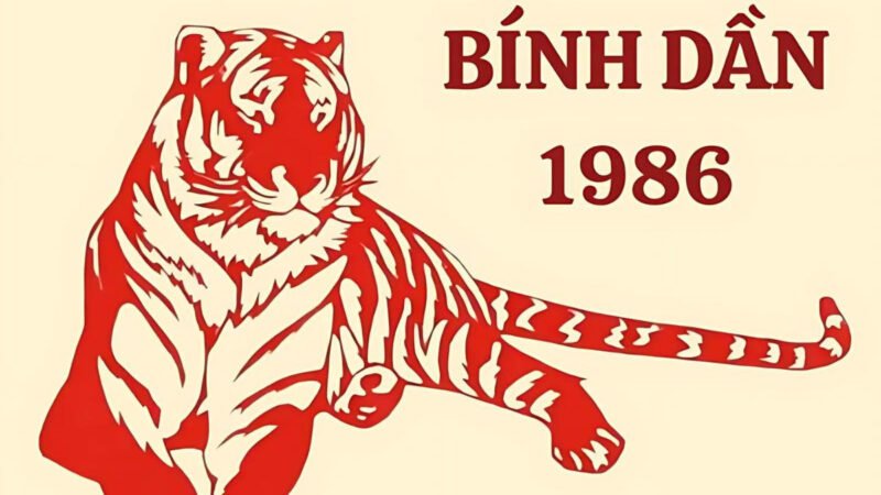 Người sinh năm 1986 thuộc mệnh Hỏa với ý chí kiên cường