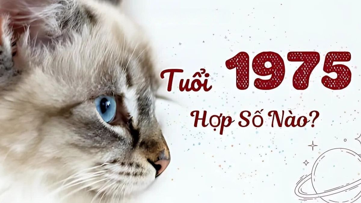 Những con số may mắn của người tuổi Ất Mão