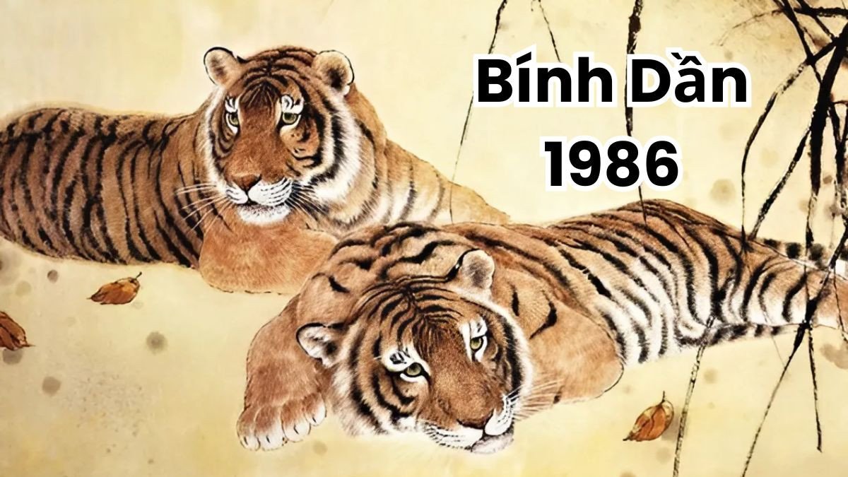 Nữ giới tuổi Dần 1986 thể hiện sự khéo léo và quyết đoán