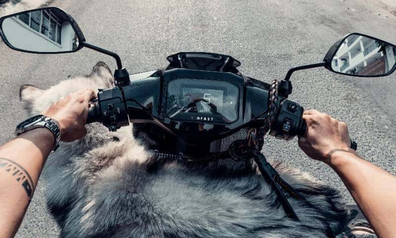 ODO xe máy điện VinFast Theon hiển thị rõ ràng