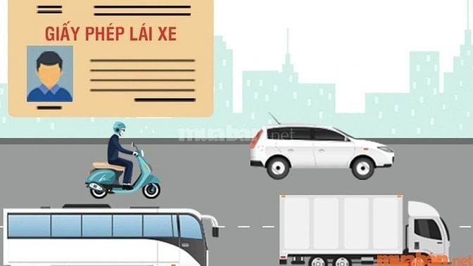 Phụ xe kiểm tra giấy tờ cần thiết trước khi lên đường