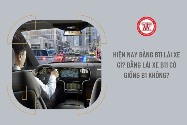 Quy định về các loại giấy phép lái xe ô tô tại Việt Nam