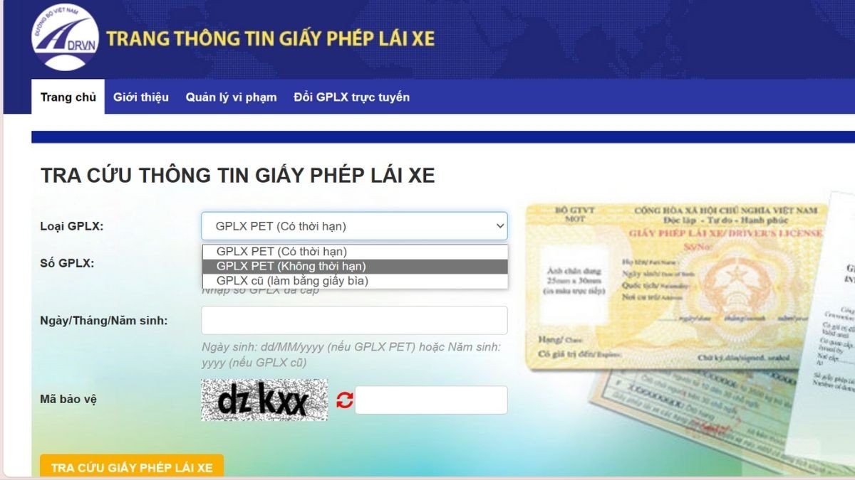 Quy trình tra cứu thông tin bằng lái xe A1 trực tuyến qua website