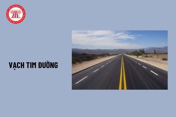 Sơ đồ các loại vạch kẻ đường phân chia hai chiều xe chạy trên đường bộ