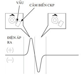 Sơ đồ kết nối cảm biến CKP trên xe máy