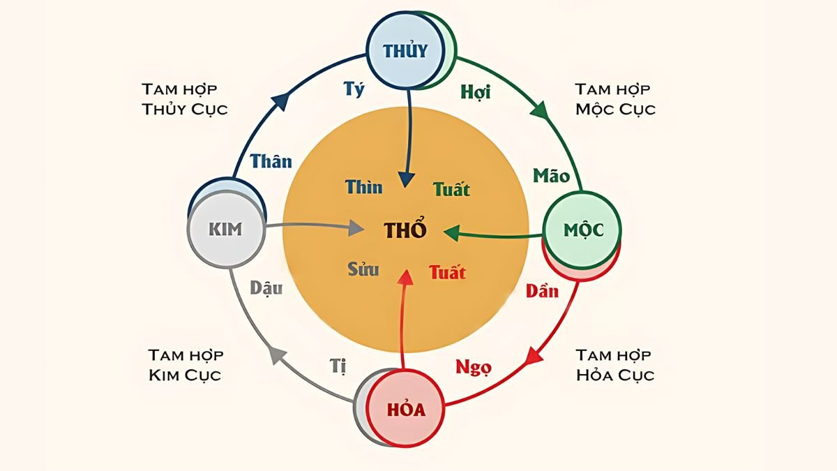 Sơ đồ phân biệt cung mệnh của Nam và Nữ tuổi 1972