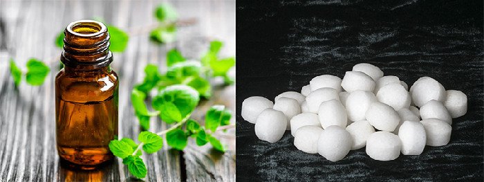 Sử dụng băng phiến để xua đuổi loài gặm nhấm trong nhà