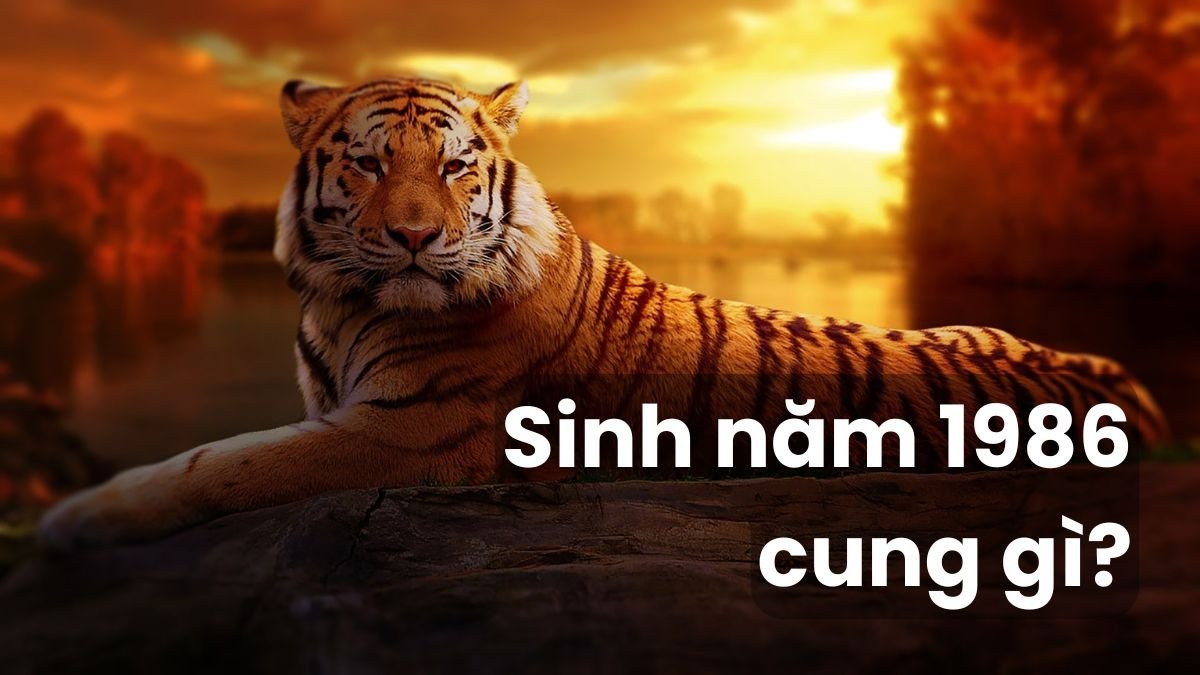 Sự khác biệt về cung mệnh nam và nữ tuổi Dần 1986