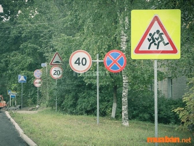 Tài xế cần có kiến thức về luật giao thông