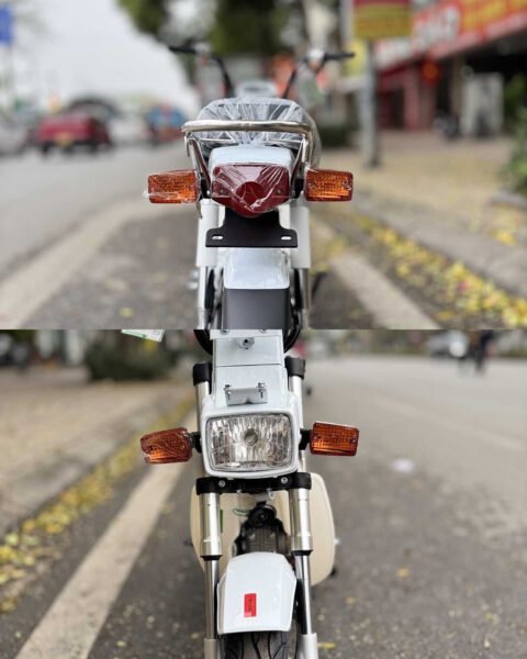 Tay lái và cụm đồng hồ đơn giản của xe Chaly 50cc