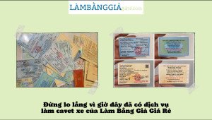 Thông tin cơ bản trên giấy đăng ký xe máy