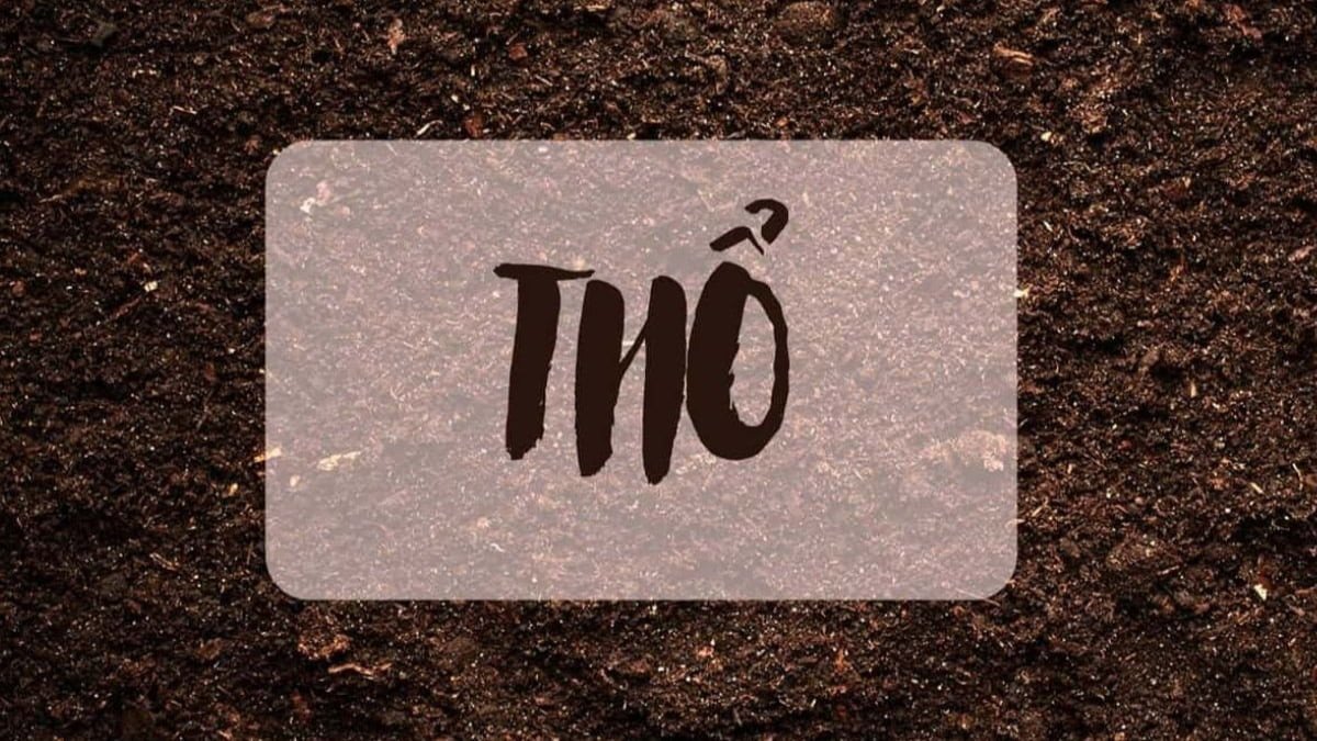 Tính cách của người sinh năm 1976