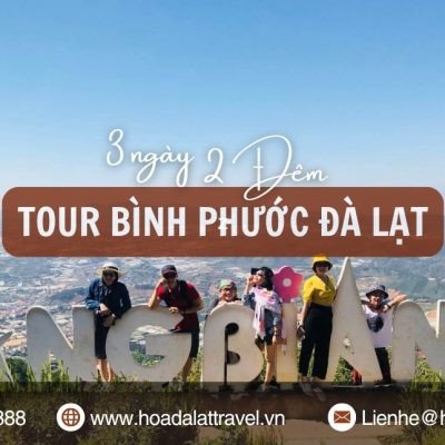 Tour Bình Phước Đà Lạt 3 Ngày 2 Đêm Ưu Đãi Hấp Dẫn