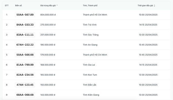 tra giá biển số xe máy 2