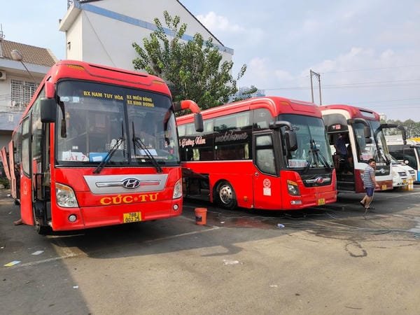 xe cúc tư phú yên