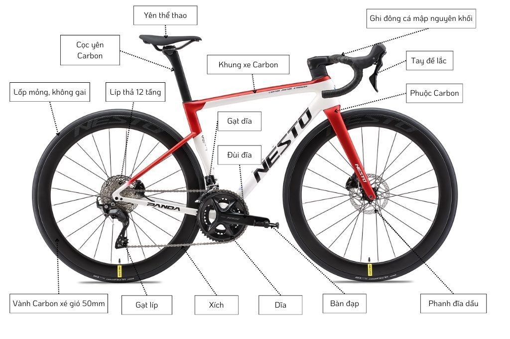 Xe Đạp Đua Carbon đến từ Nesto Panda, mẫu xe mới nhất 2024