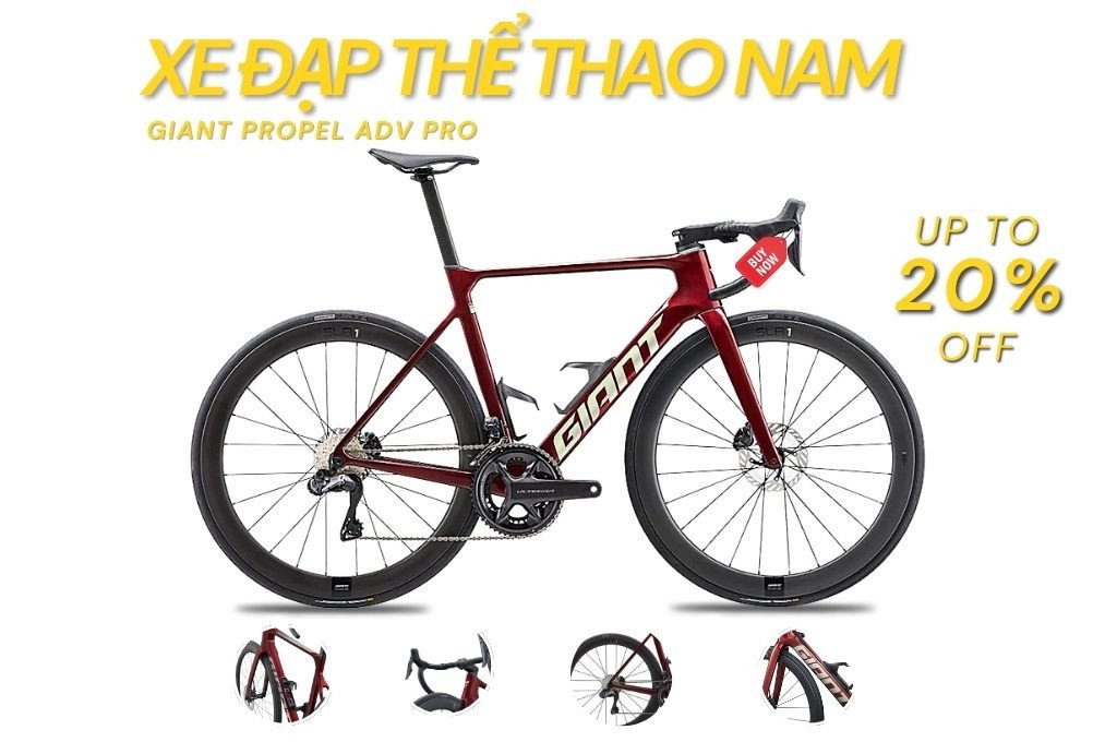 Xe đạp thể thao nam cao cấp sử dụng khung carbon và groupset chất lượng