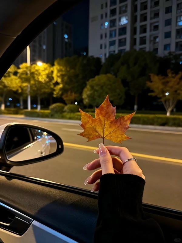 Hình Ảnh Ngồi Trên Xe Ô Tô Ban Đêm 3